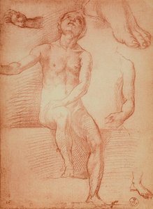 Studium nagiej postaci i kończyn ludzkich, rysunek Andrea del Sarto. Gabinet dei Disegni e delle Stampe, Galeria Uffizi, Florencja